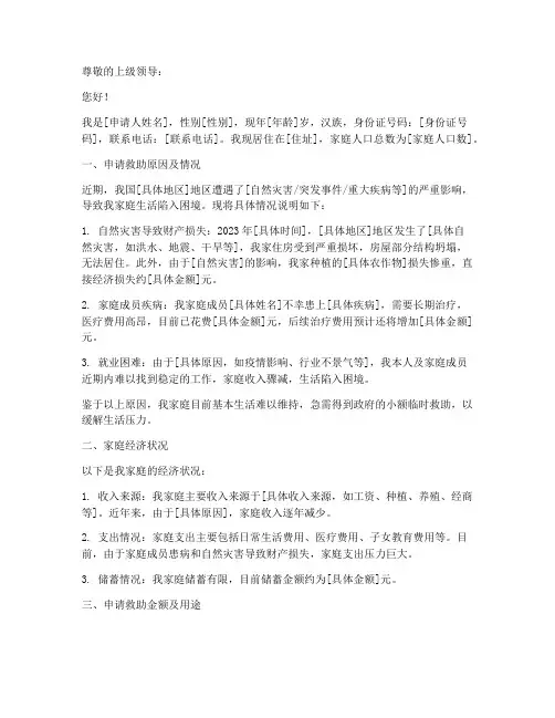 小额临时救助申请报告书