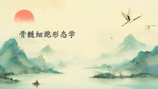 骨髓细胞形态学
