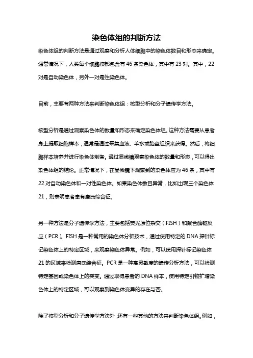 染色体组的判断方法
