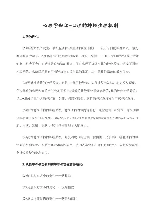 心理学知识心理的神经生理机制