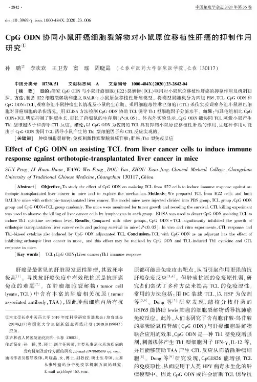 CpG ODN协同小鼠肝癌细胞裂解物对小鼠原位移植性肝癌的抑制作用研究