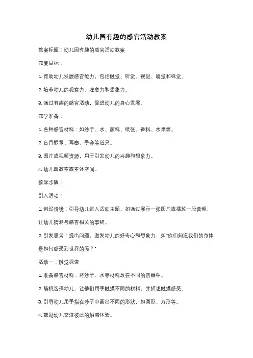 幼儿园有趣的感官活动教案