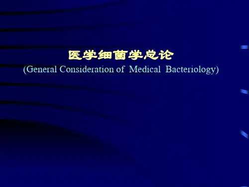 细菌的结构