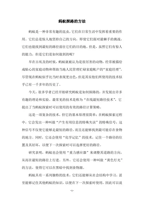 蚂蚁探路的方法