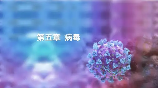 生物人教八年级上册 第五单元《生物圈中的其他生物》 第五章 《病毒》 精品课件