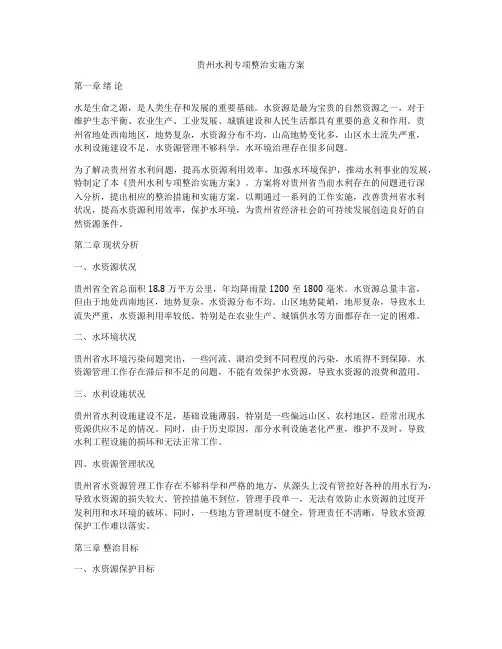 贵州水利专项整治实施方案