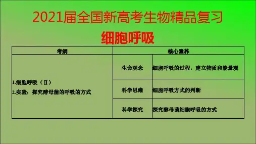2021届全国新高考生物精品复习—细胞呼吸
