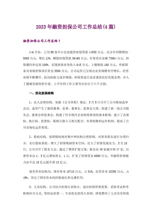 2023年融资担保公司工作总结(4篇)