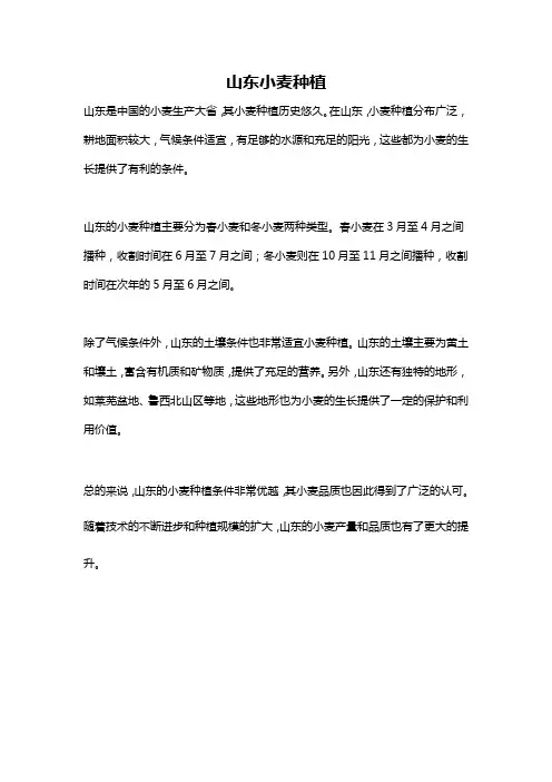 山东小麦种植