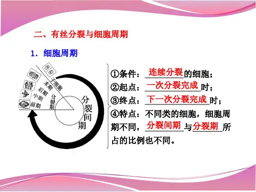 高三一轮复习细胞的生命历程ppt课件.pptx