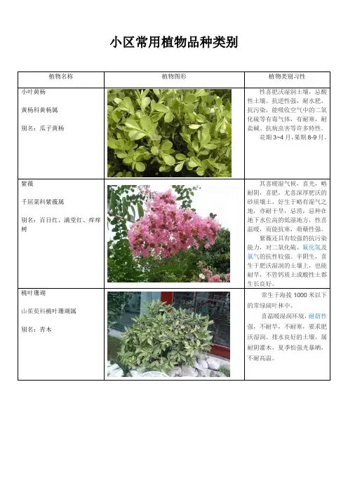小区常用植物品种类别