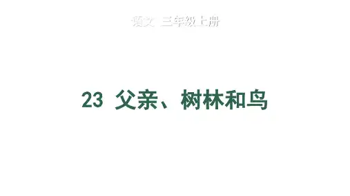 《父亲、树林和鸟》语文三年级上册优秀ppt课件