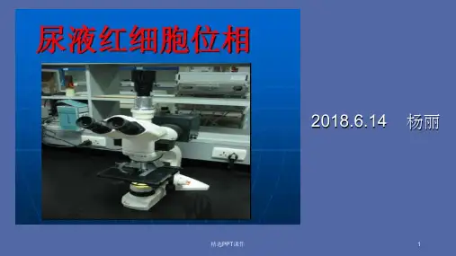 尿红细胞位相ppt课件