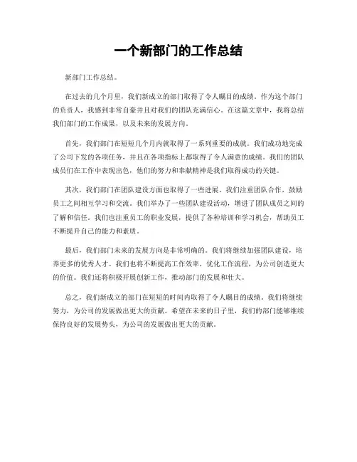 一个新部门的工作总结
