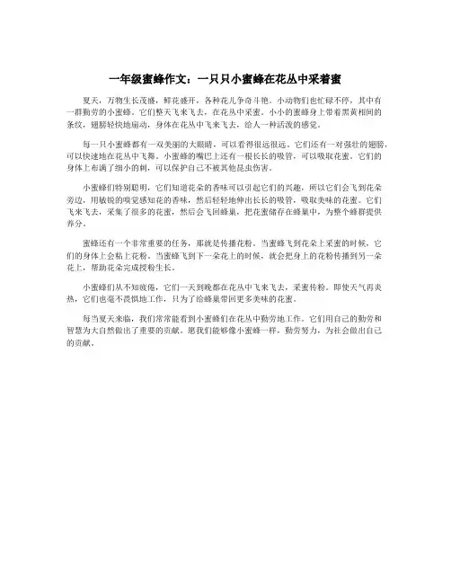 一年级蜜蜂作文：一只只小蜜蜂在花丛中采着蜜