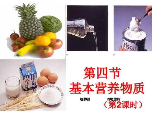 【新教材人教版化学】基本营养物质ppt公开课课件1