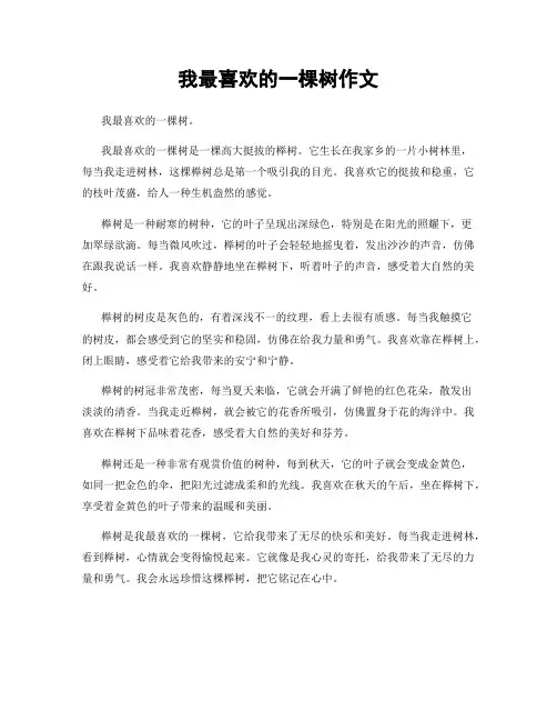 我最喜欢的一棵树作文