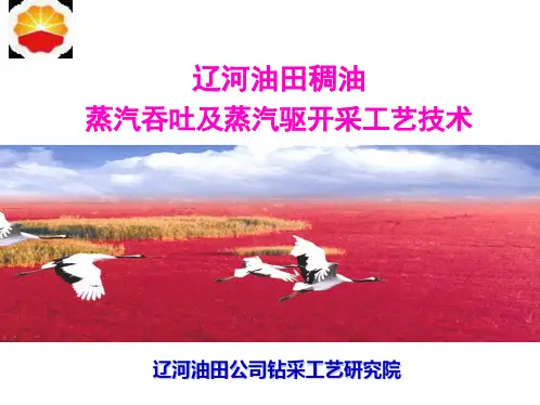 辽河热力采油-good