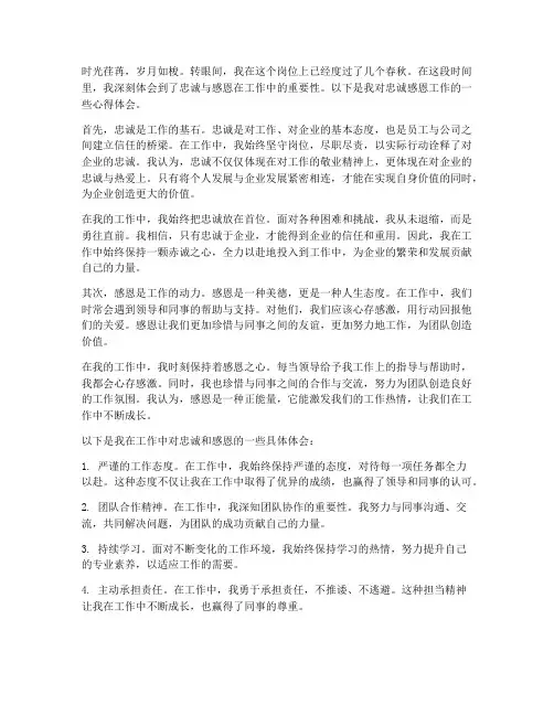 忠诚感恩工作心得体会