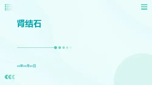 (医学课件)肾结石