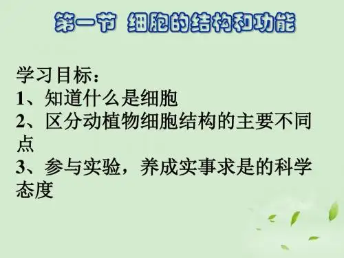 七年级生物-细胞的结构和功能课件