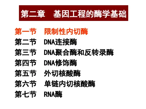 限制性核酸内切酶的命名和类型3