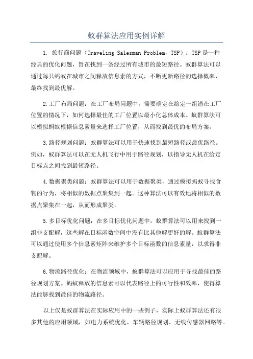 蚁群算法应用实例详解