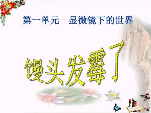 六年级科学上册馒头发霉了ppt课件3苏教版