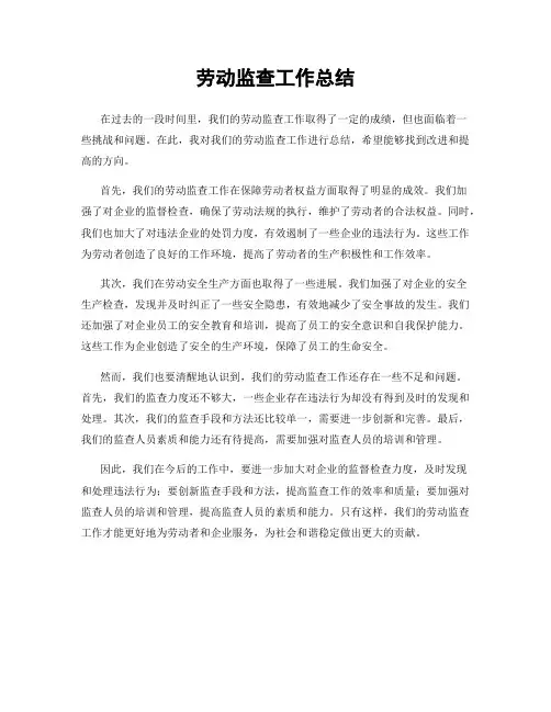 劳动监查工作总结