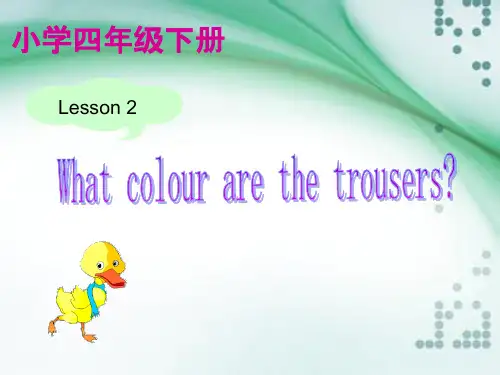 科普版-英语-四下-Lesson 2  What colour are the trousers？- (11)