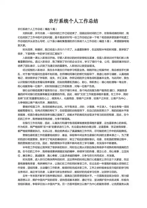 农行系统个人工作总结（精选5篇）