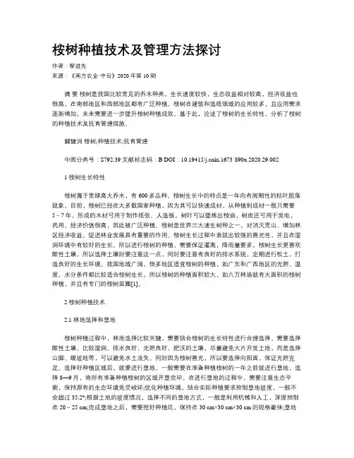 桉树种植技术及管理方法探讨