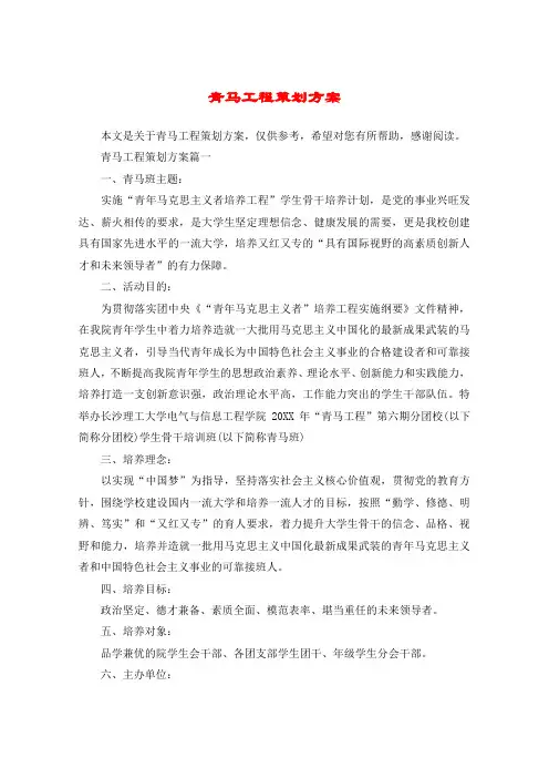青马工程策划方案