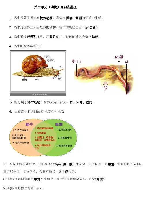 三年级科学二单元知识点