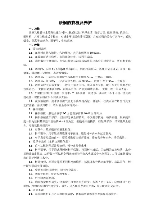 法桐的栽培及养护技术