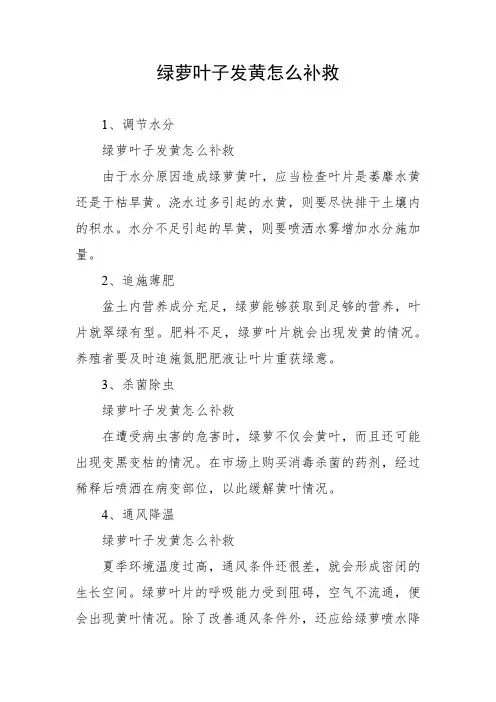 绿萝叶子发黄怎么补救