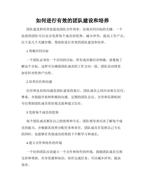 如何进行有效的团队建设和培养
