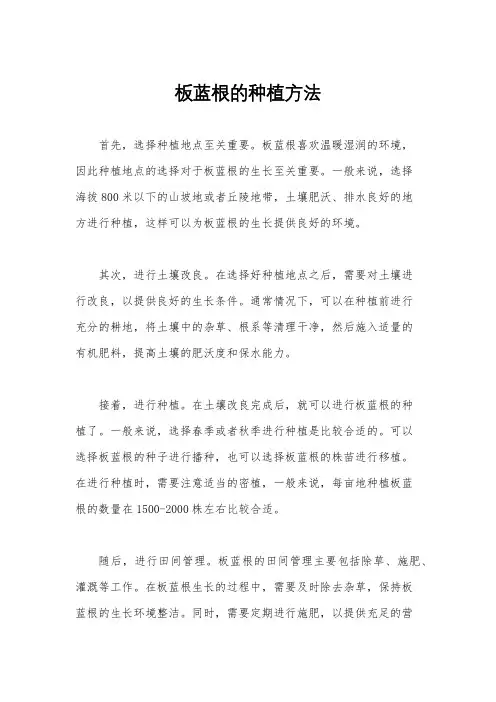 板蓝根的种植方法
