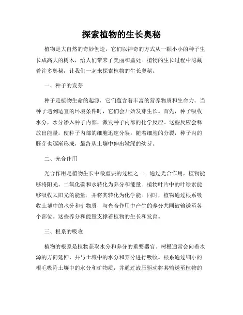 探索植物的生长奥秘