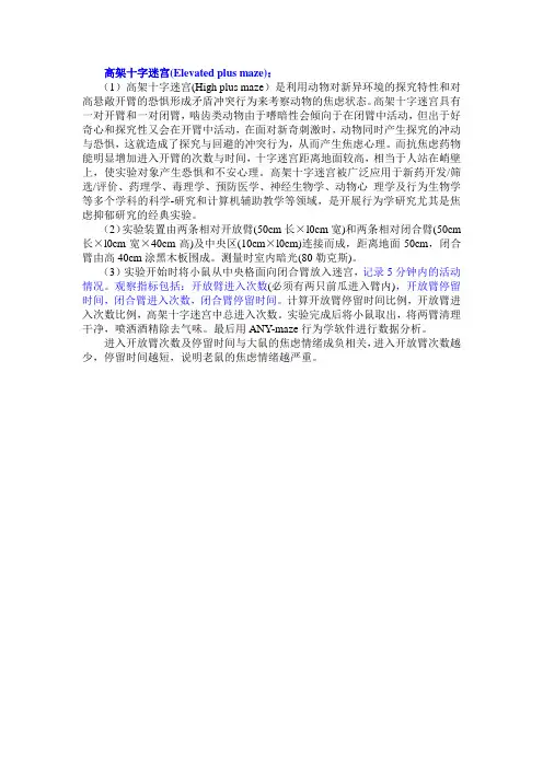 高架迷宫和Y迷宫