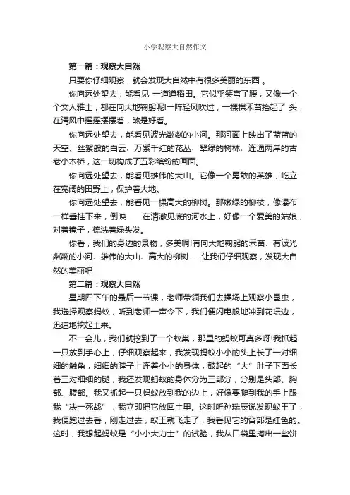 小学观察大自然作文_作文2550字_小学写物作文_