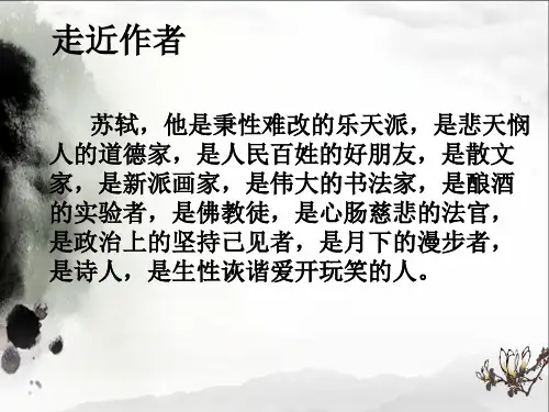 念奴娇赤壁怀古优秀ppt课件