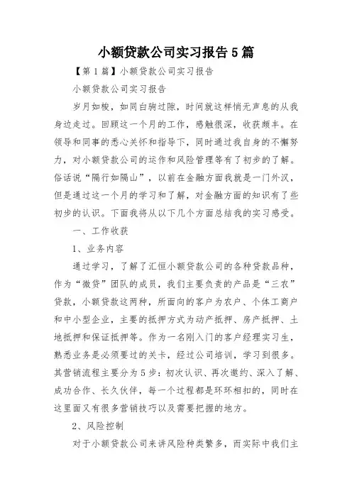 小额贷款公司实习报告5篇