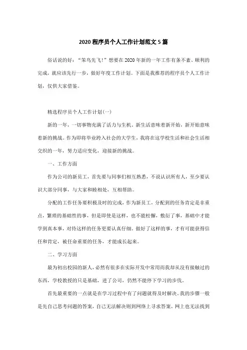 2020程序员个人工作计划范文5篇