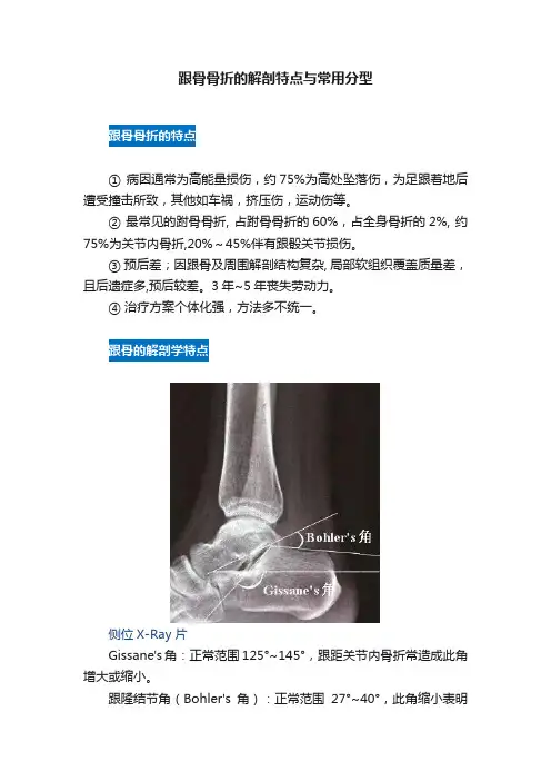 跟骨骨折的解剖特点与常用分型