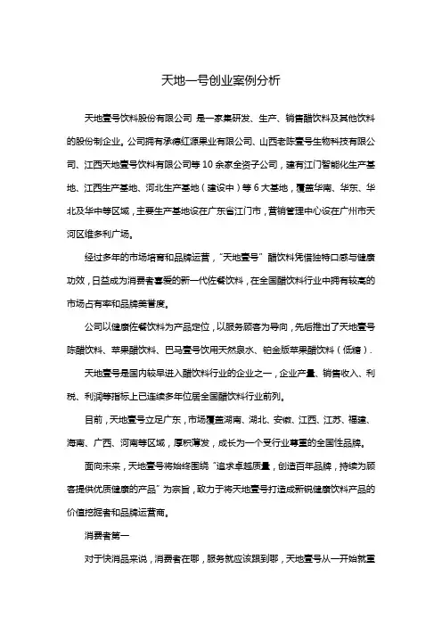 天地一号创业案例分析