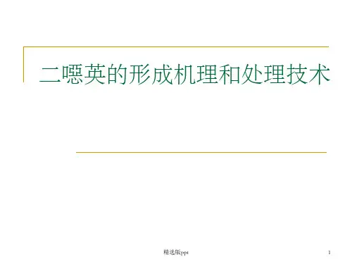 二恶英的形成机理和处理技术