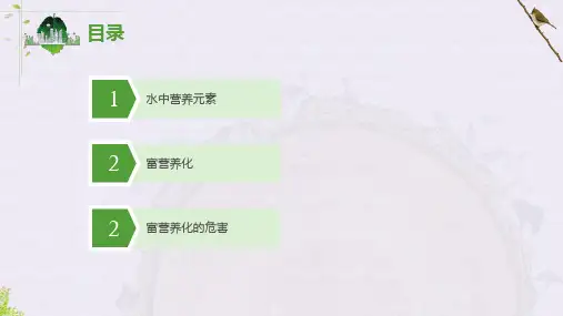 3.2.13.2水体的富营养化课件