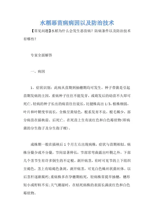 水稻恶苗病病因以及防治技术