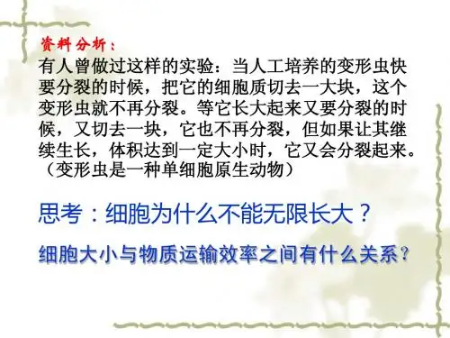 人教版教学课件江苏省江阴市澄西中学高一生物《细胞增殖》课件(必修1)